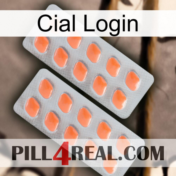 Cial Login 27.jpg